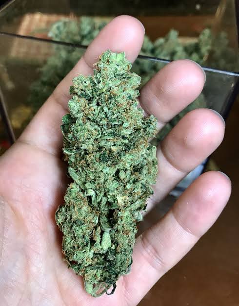 I'M AVAILABLE 24/7 FOR DRUG DEALS.I'LL DELIVER YOUR GOODS AT YOUR POST.I'VE GOT ENOUGH GRAMS... I'M AVAILABLE 24/7 FOR DRUG DEALS.I'LL DELIVER YOUR GOODS AT YOUR POST.I'VE GOT ENOUGH GRAMS...